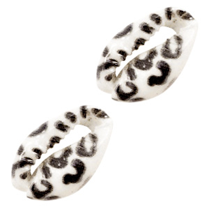 Kauri Leopard black-white, Per stuk