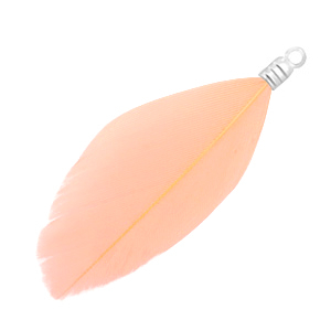 Feather coral peach